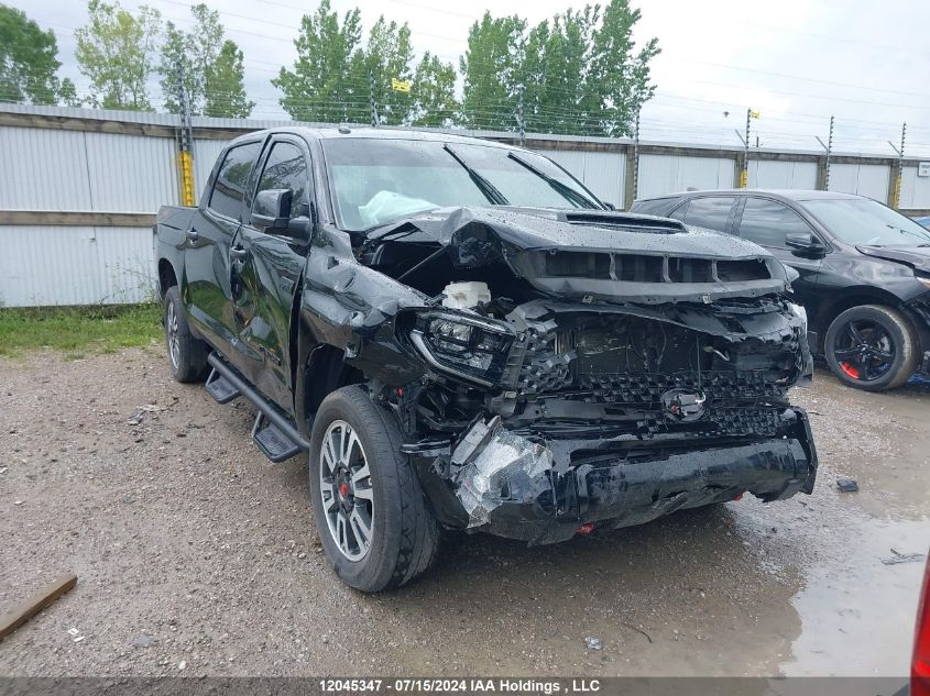 2019 Toyota Tundra Sr5 Plus 5.7L V8 VIN: 5TFDY5F11KX869711 Lot: 12045347