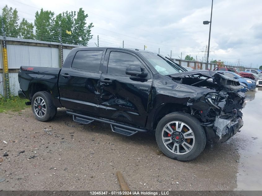 2019 Toyota Tundra Sr5 Plus 5.7L V8 VIN: 5TFDY5F11KX869711 Lot: 12045347