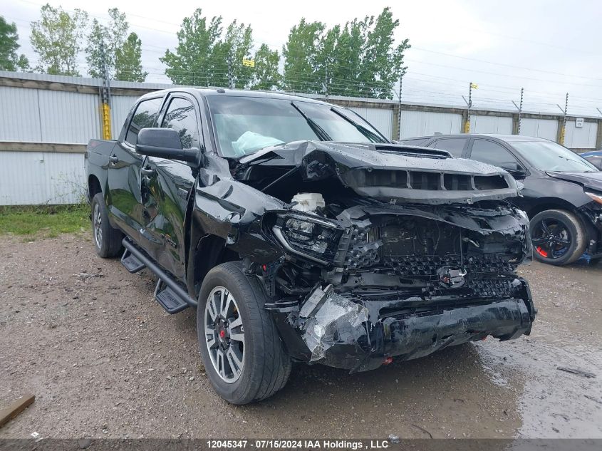 2019 Toyota Tundra Sr5 Plus 5.7L V8 VIN: 5TFDY5F11KX869711 Lot: 12045347