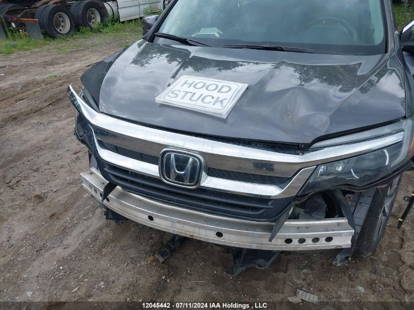 2020 Honda Pilot VIN: 5FNYF6H79LB503540 Lot: 12045442