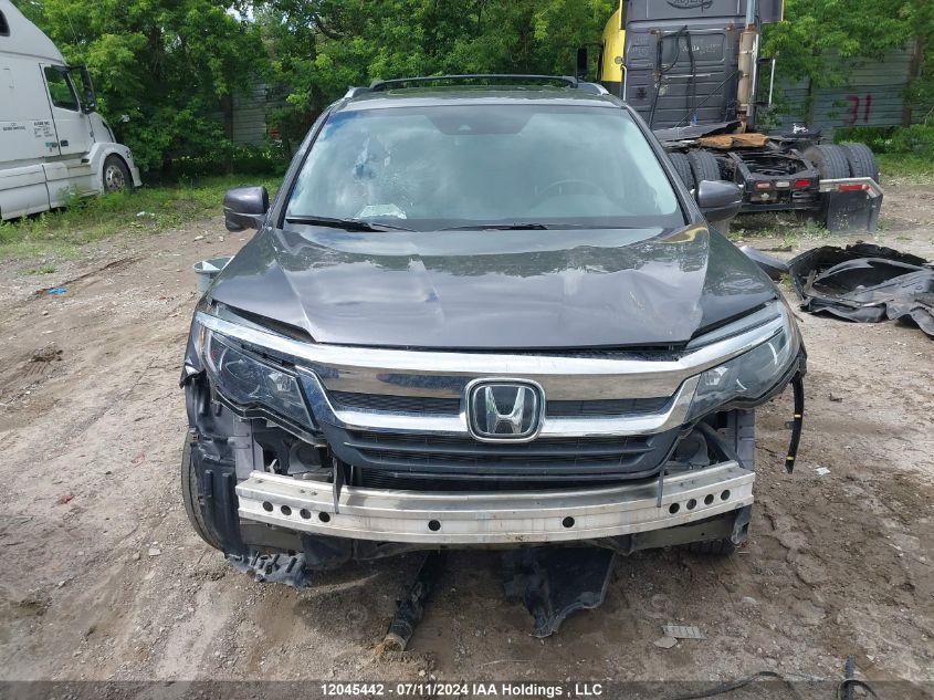 2020 Honda Pilot VIN: 5FNYF6H79LB503540 Lot: 12045442