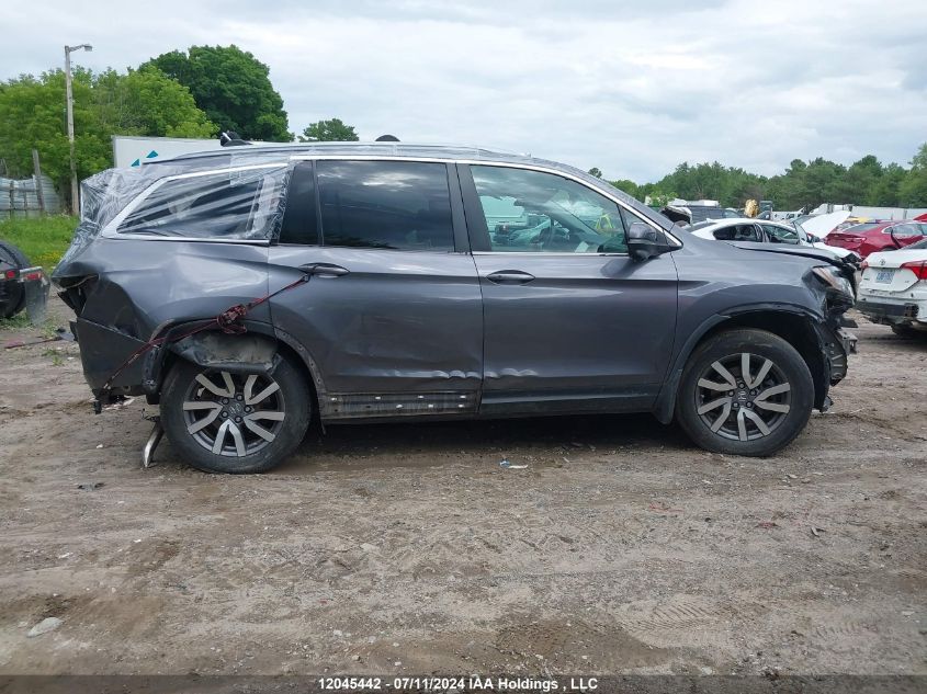 2020 Honda Pilot VIN: 5FNYF6H79LB503540 Lot: 12045442