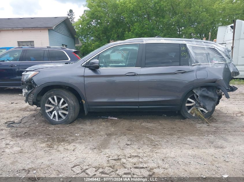 2020 Honda Pilot VIN: 5FNYF6H79LB503540 Lot: 12045442