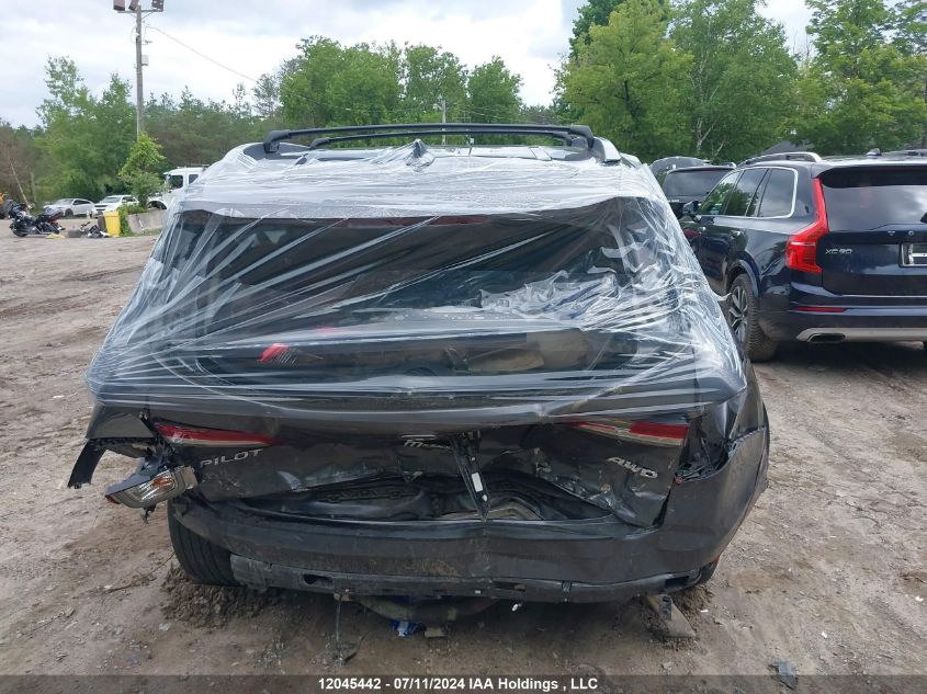 2020 Honda Pilot VIN: 5FNYF6H79LB503540 Lot: 12045442