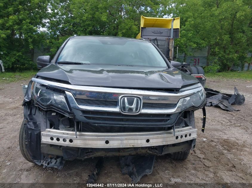 2020 Honda Pilot VIN: 5FNYF6H79LB503540 Lot: 12045442