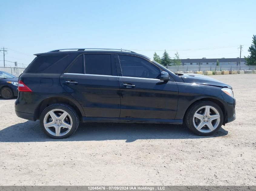 2013 Mercedes-Benz Ml-Class VIN: 4JGDA2EB8DA204741 Lot: 12045476