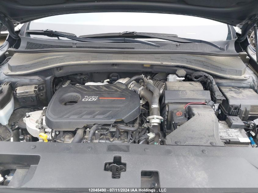 2020 Hyundai Santa Fe VIN: 5NMS3CAA1LH266057 Lot: 12045490