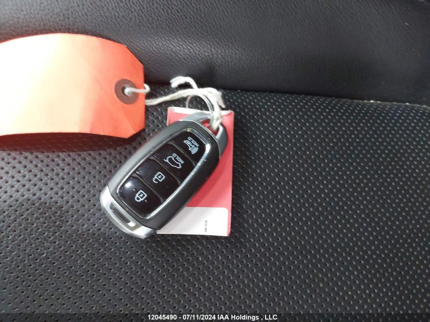 2020 Hyundai Santa Fe VIN: 5NMS3CAA1LH266057 Lot: 12045490