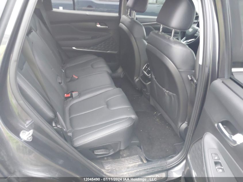 2020 Hyundai Santa Fe VIN: 5NMS3CAA1LH266057 Lot: 12045490