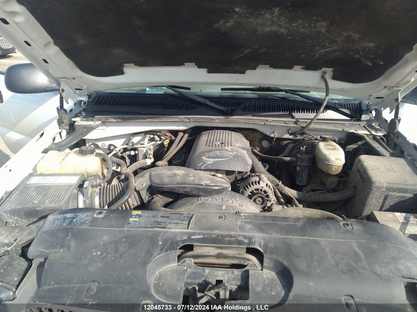 2004 Chevrolet Silverado K1500 VIN: 1GCEK19T34E349715 Lot: 12045733