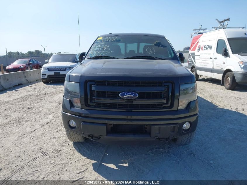 2013 Ford F-150 Fx4 VIN: 1FTFW1ET1DFA96757 Lot: 12045872