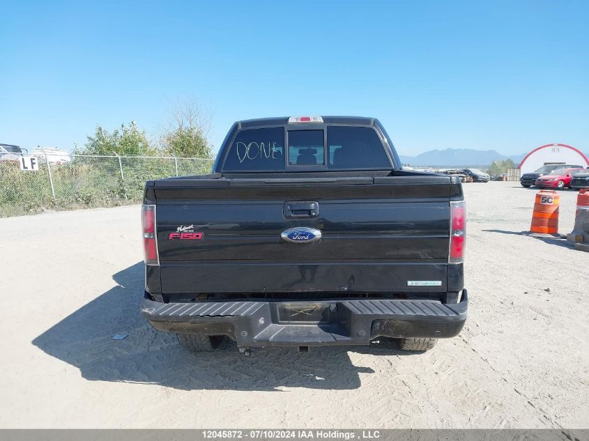 2013 Ford F-150 Fx4 VIN: 1FTFW1ET1DFA96757 Lot: 12045872