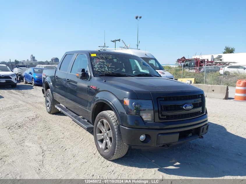 2013 Ford F-150 Fx4 VIN: 1FTFW1ET1DFA96757 Lot: 12045872