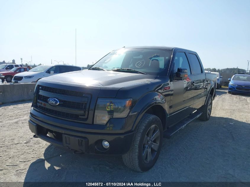 2013 Ford F-150 Fx4 VIN: 1FTFW1ET1DFA96757 Lot: 12045872