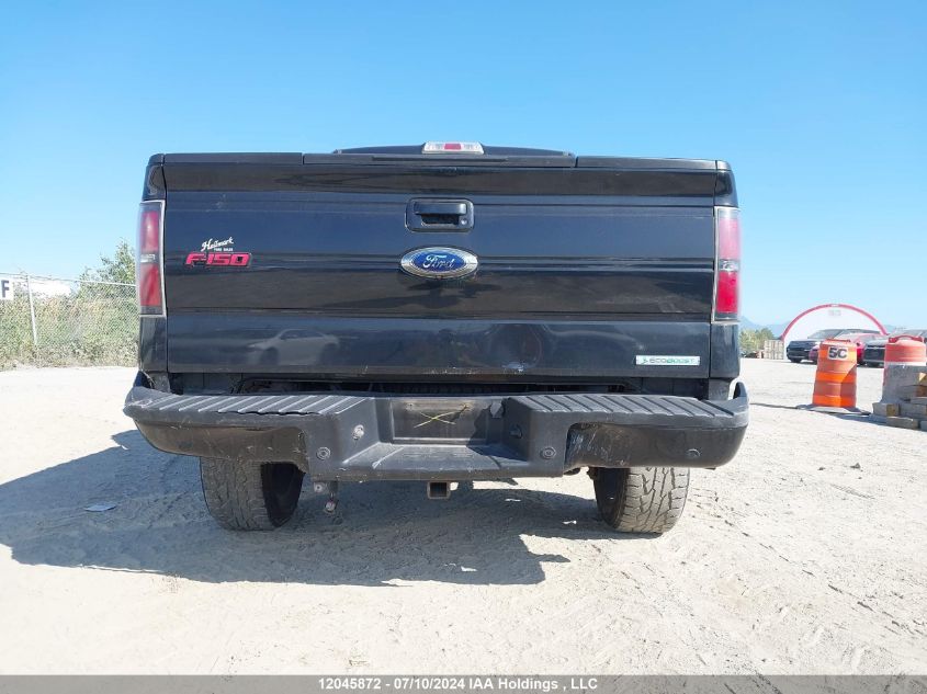 2013 Ford F-150 Fx4 VIN: 1FTFW1ET1DFA96757 Lot: 12045872