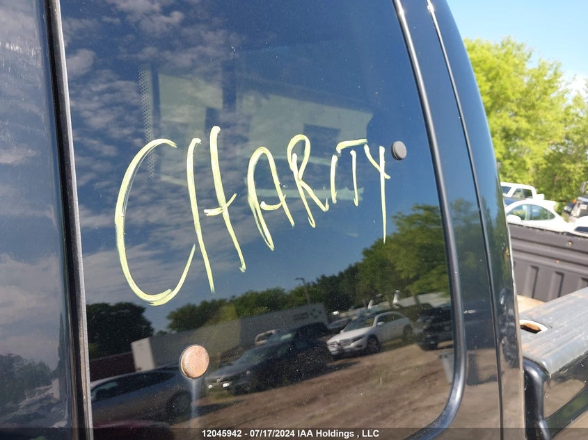 2009 Ford F250 Super Duty VIN: 1FTSX215X9EA13199 Lot: 12045942