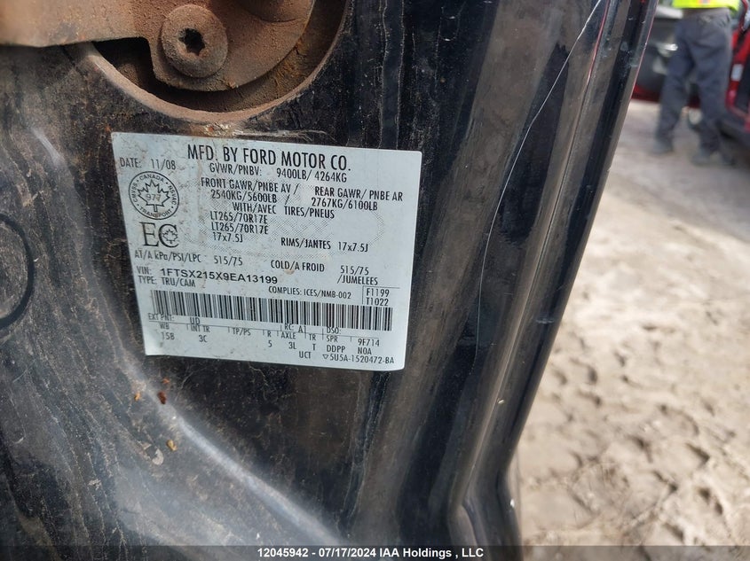 2009 Ford F250 Super Duty VIN: 1FTSX215X9EA13199 Lot: 12045942