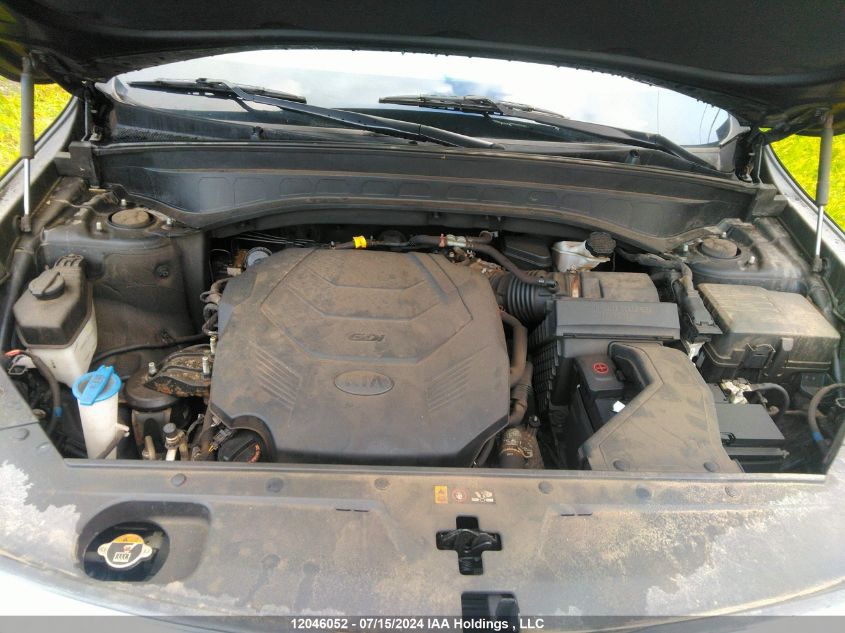 2020 Kia Telluride VIN: 5XYP5DHC6LG086211 Lot: 12046052