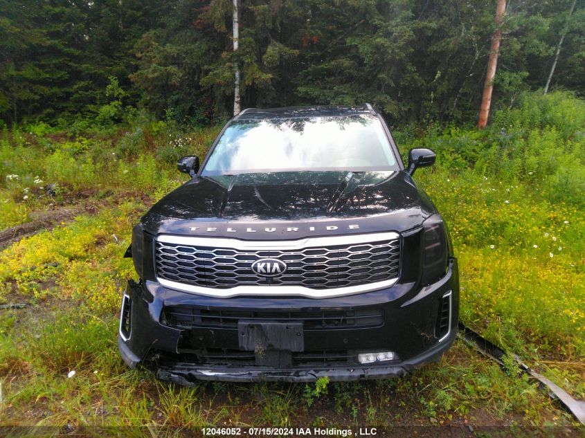 2020 Kia Telluride VIN: 5XYP5DHC6LG086211 Lot: 12046052