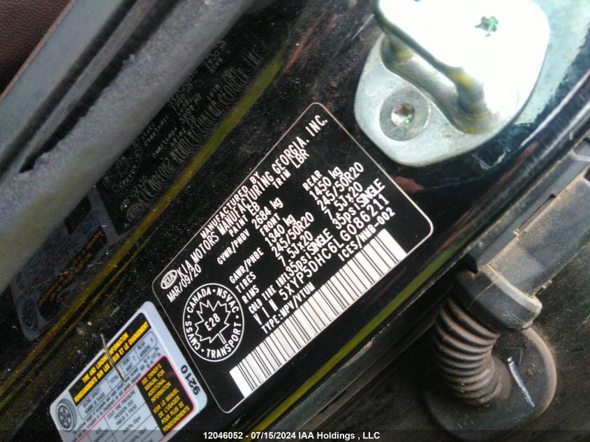 2020 Kia Telluride VIN: 5XYP5DHC6LG086211 Lot: 12046052