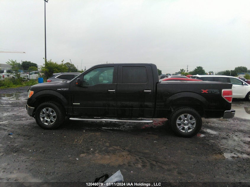2011 Ford F150 Supercrew VIN: 1FTFW1ET3BFC53248 Lot: 12046079