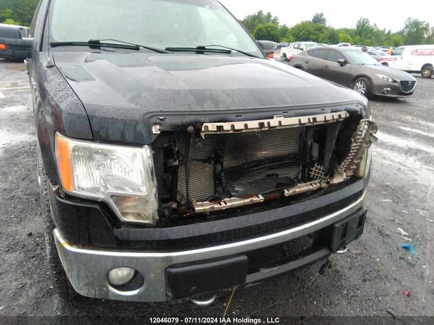 2011 Ford F150 Supercrew VIN: 1FTFW1ET3BFC53248 Lot: 12046079