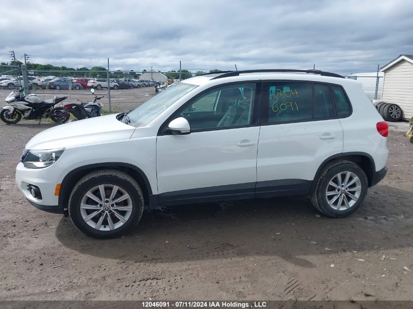 2014 Volkswagen Tiguan VIN: WVGJV3AX9EW564569 Lot: 12046091