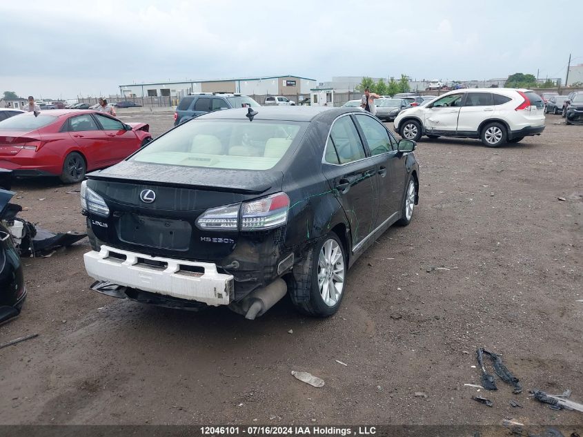 2010 Lexus Hs 250H Premium/Premium Luxury VIN: JTHBB1BA8A2026610 Lot: 12046101