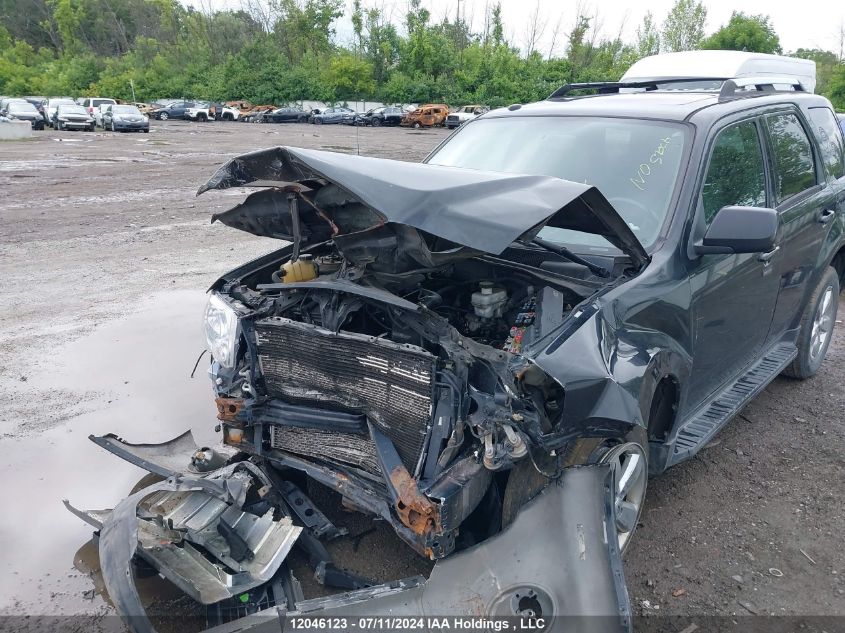 2009 Ford Escape Limited VIN: 1FMCU94G19KB46336 Lot: 12046123