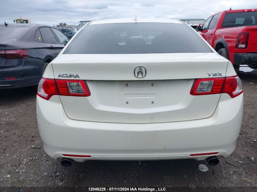 2010 Acura Tsx VIN: JH4CU2F60AC800319 Lot: 12046229