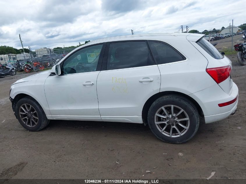 2012 Audi Q5 VIN: WA1VFCFP7CA064961 Lot: 12046236