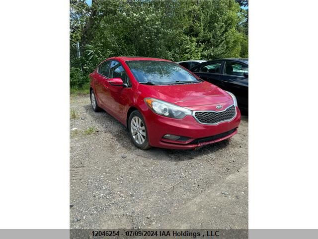 2014 Kia Forte Lx VIN: KNAFX4A62E5165569 Lot: 12046254