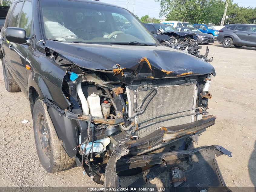 2008 Honda Pilot VIN: 5FNYF18658B501835 Lot: 12046309