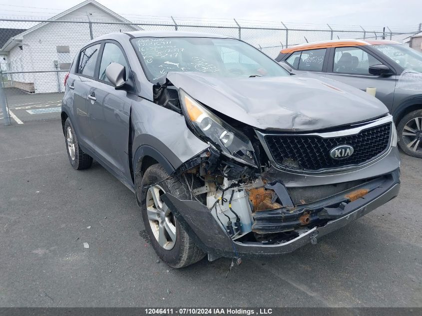 2016 Kia Sportage VIN: KNDPB3AC3G7807097 Lot: 12046411