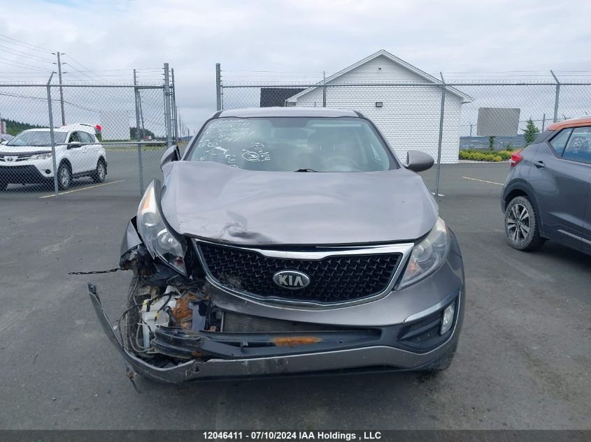 2016 Kia Sportage VIN: KNDPB3AC3G7807097 Lot: 12046411