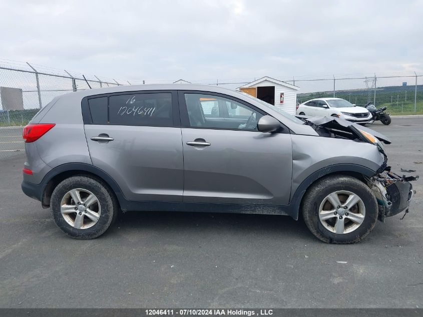 2016 Kia Sportage VIN: KNDPB3AC3G7807097 Lot: 12046411