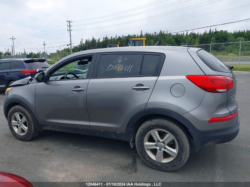 2016 Kia Sportage VIN: KNDPB3AC3G7807097 Lot: 12046411