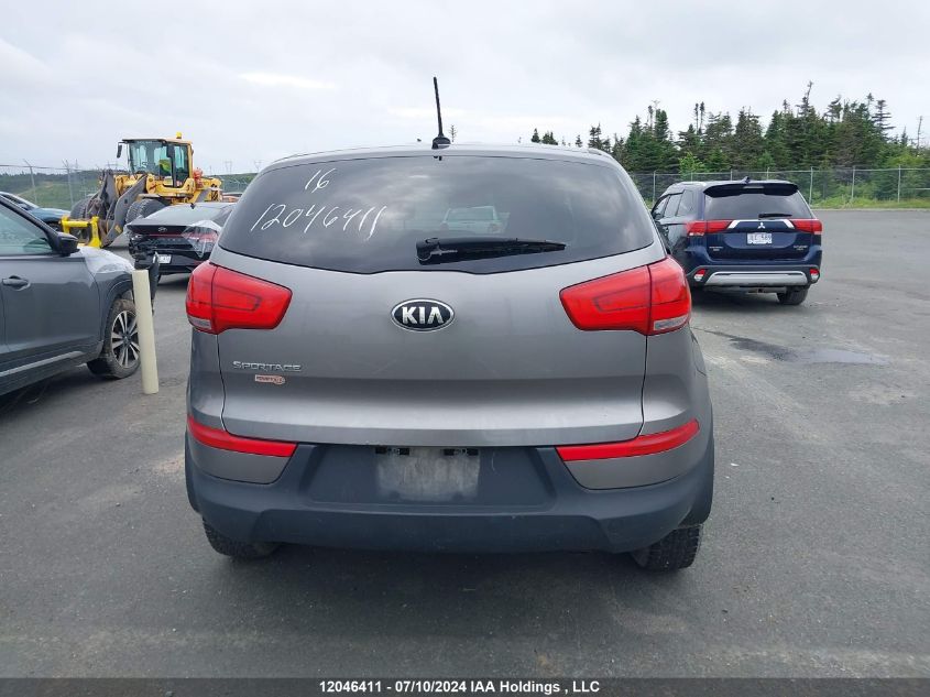 2016 Kia Sportage VIN: KNDPB3AC3G7807097 Lot: 12046411