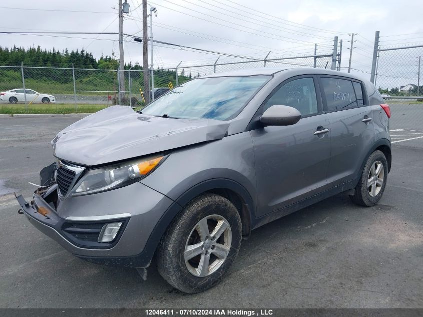 2016 Kia Sportage VIN: KNDPB3AC3G7807097 Lot: 12046411