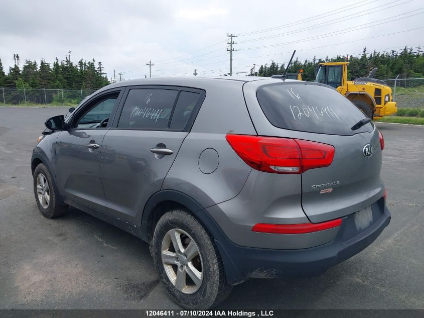 2016 Kia Sportage VIN: KNDPB3AC3G7807097 Lot: 12046411