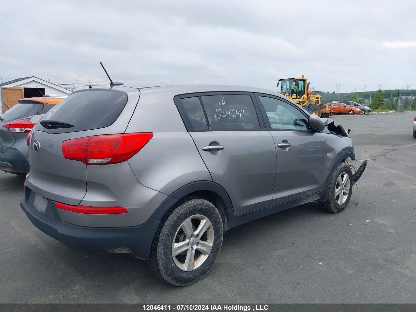 2016 Kia Sportage VIN: KNDPB3AC3G7807097 Lot: 12046411