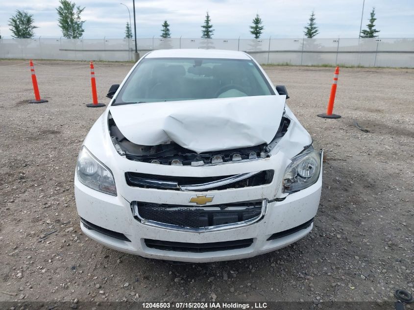 2010 Chevrolet Malibu VIN: 1G1ZB5E06AF196573 Lot: 12046503