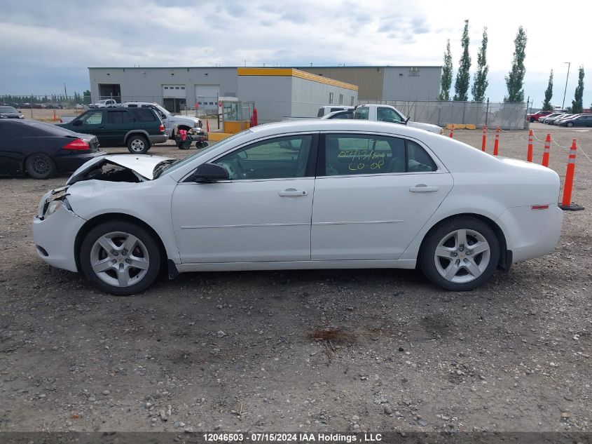 2010 Chevrolet Malibu VIN: 1G1ZB5E06AF196573 Lot: 12046503