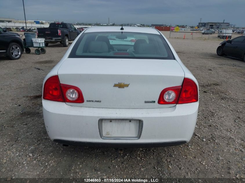 2010 Chevrolet Malibu VIN: 1G1ZB5E06AF196573 Lot: 12046503