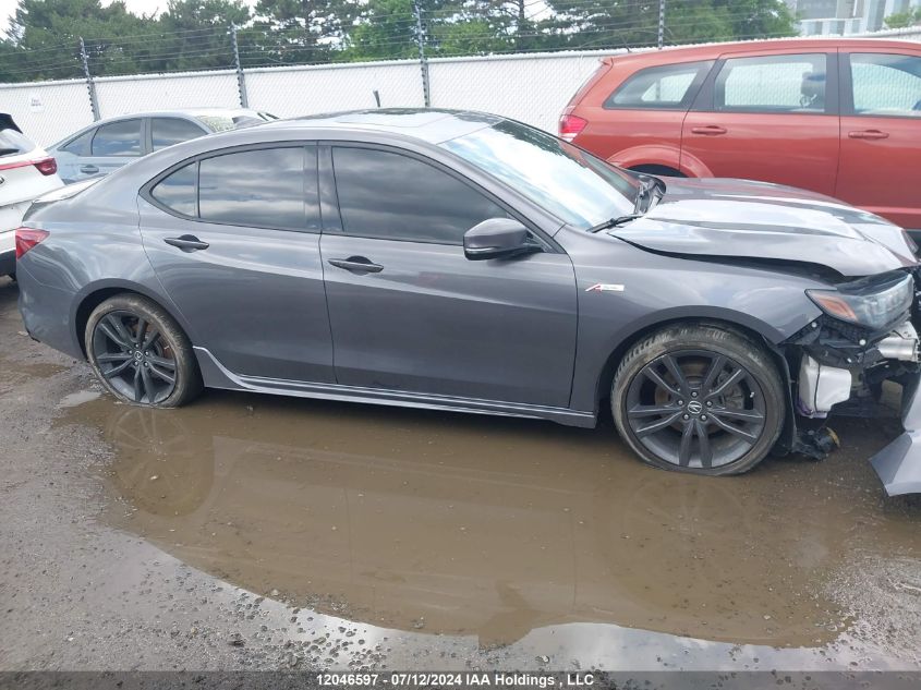 2020 Acura Tlx VIN: 19UUB3F69LA802152 Lot: 12046597