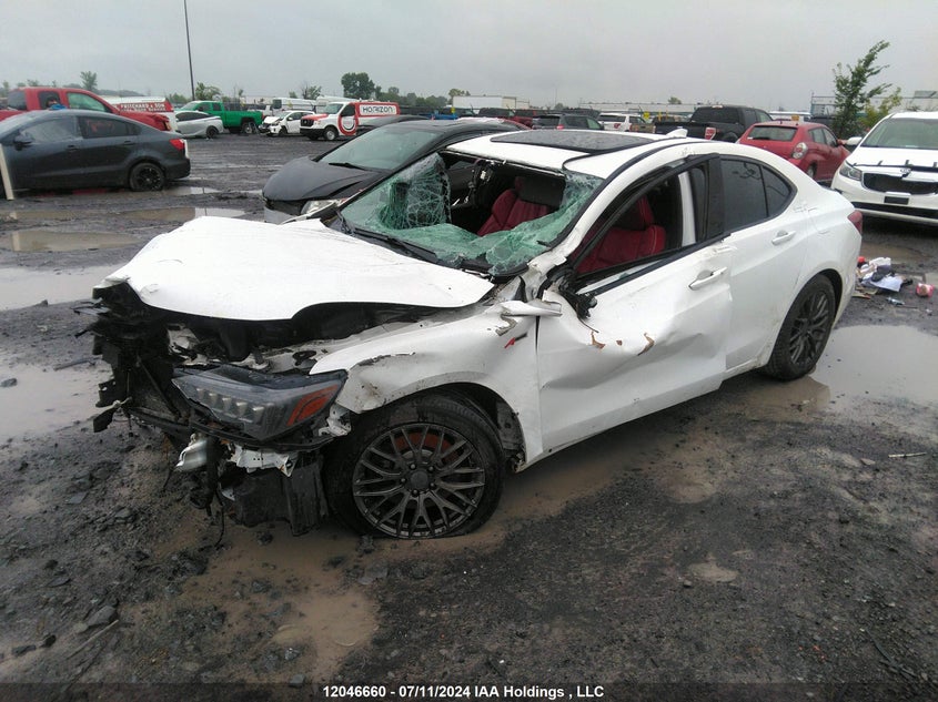 2018 Acura Tlx VIN: 19UUB3F87JA801788 Lot: 12046660