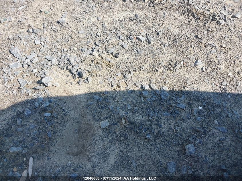 2009 Kia Sportage VIN: KNDJE723897579152 Lot: 12046686