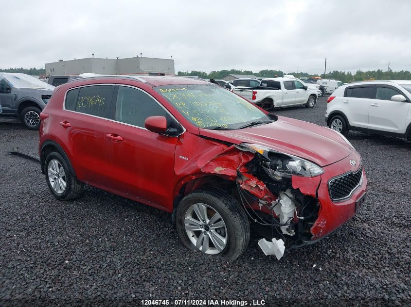 2019 Kia Sportage VIN: KNDPMCAC5K7522775 Lot: 12046745