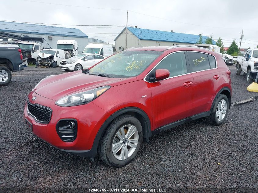 2019 Kia Sportage VIN: KNDPMCAC5K7522775 Lot: 12046745