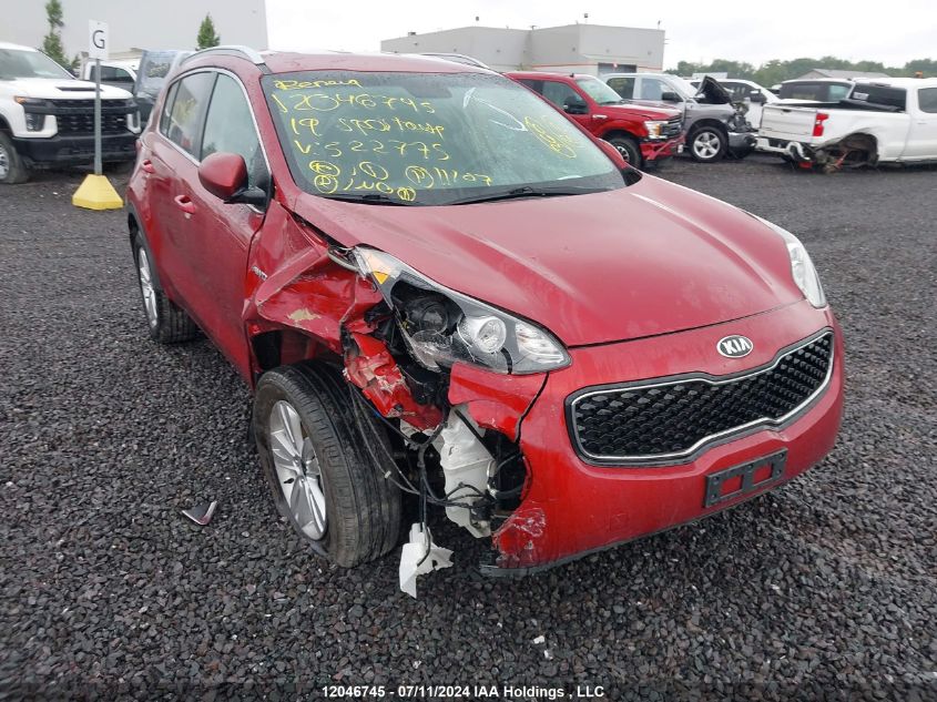 2019 Kia Sportage VIN: KNDPMCAC5K7522775 Lot: 12046745